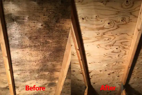 water damage restoration service Leigh